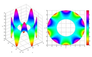 Laplace's Equation on a ring with boundary conditions.