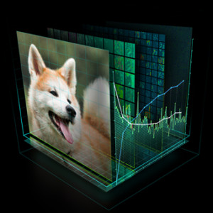 DL_dog_340x340