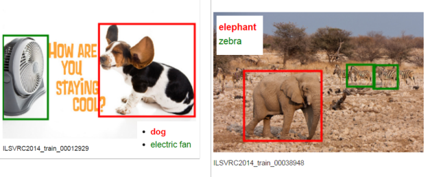 Figure 1. Examples of ImageNet images demonstrating classification with localization.