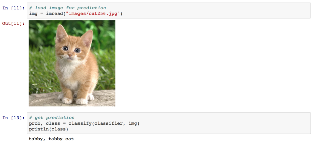 Figure 6: Classifying an image with Mocha.jl,