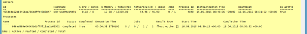 Figure 11: Monitoring one worker: Completed.