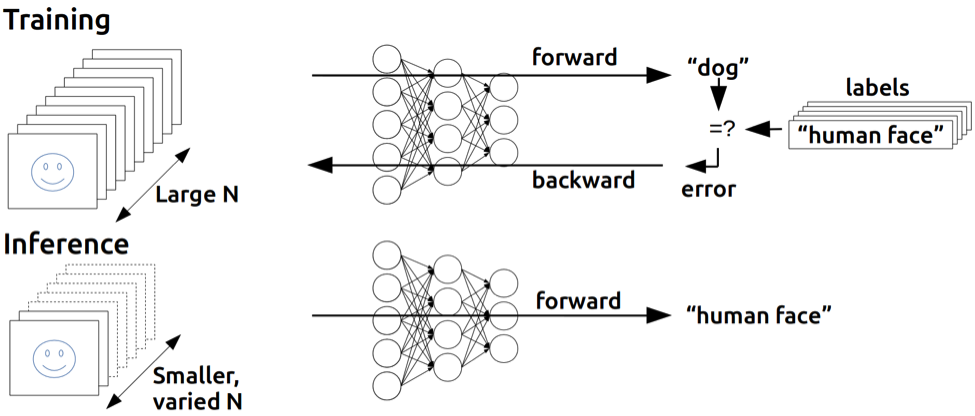 Deep Neural Network Training vs. Inference