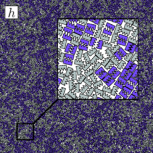 Figure 1: an example system configuration from the shape allophiles project: Eric S. Harper, Ryan Marson, Joshua A. Anderson, Greg van Anders, and Sharon C Glotzer. Shape Allophiles Improve Entropic Assembly. Soft Matter, 2015. (doi:10.1039/C5SM01351H).