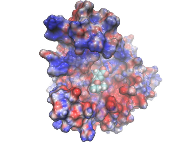 Swine Flu A/H1N1 neuraminidase bound to Tamiflu. (Visualization: John Stone, UIUC, details at http://www.ks.uiuc.edu/Research/influenza/)