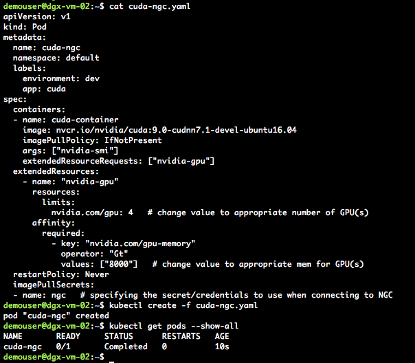 NVIDIA DGX Kubernetes Docker Container