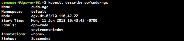 Kubernetes NVIDIA DGX container