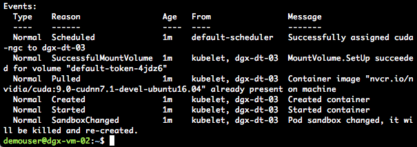 NVIDIA DGX Kubernetes Docker Container