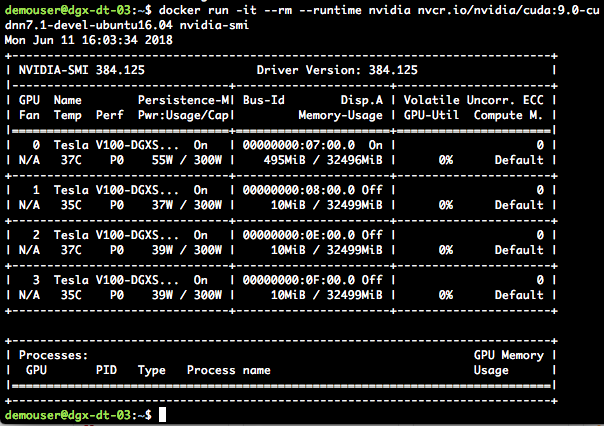 NVIDIA DGX Kubernetes Docker Container